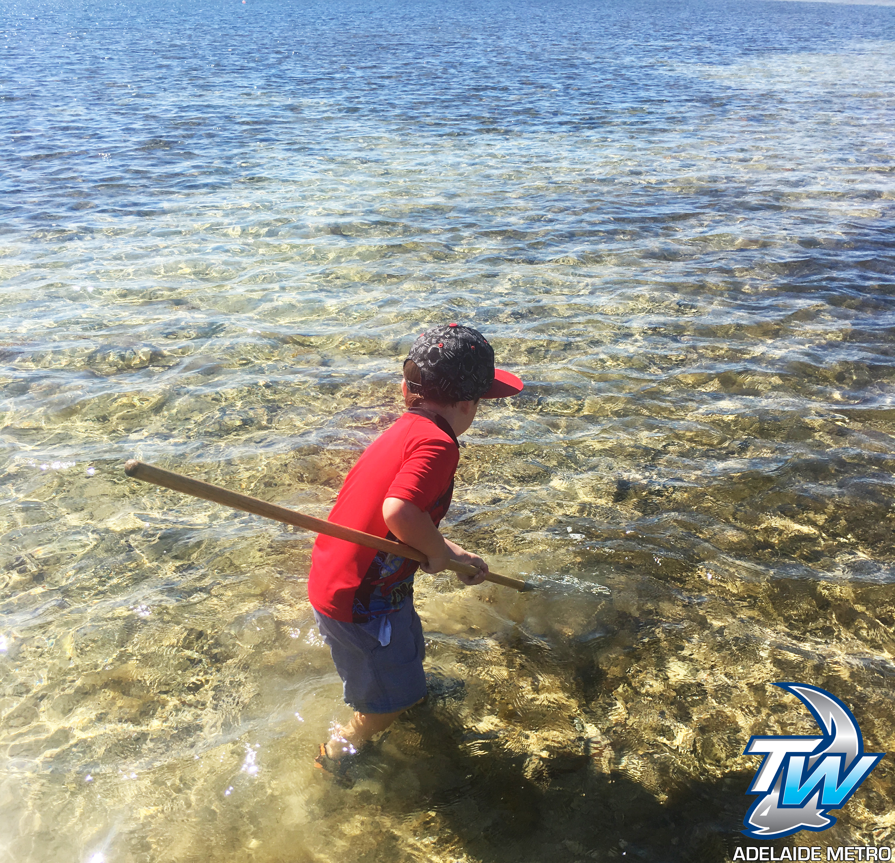 How To Catch Blue Swimmer Crabs Tackle World Adelaide Metro